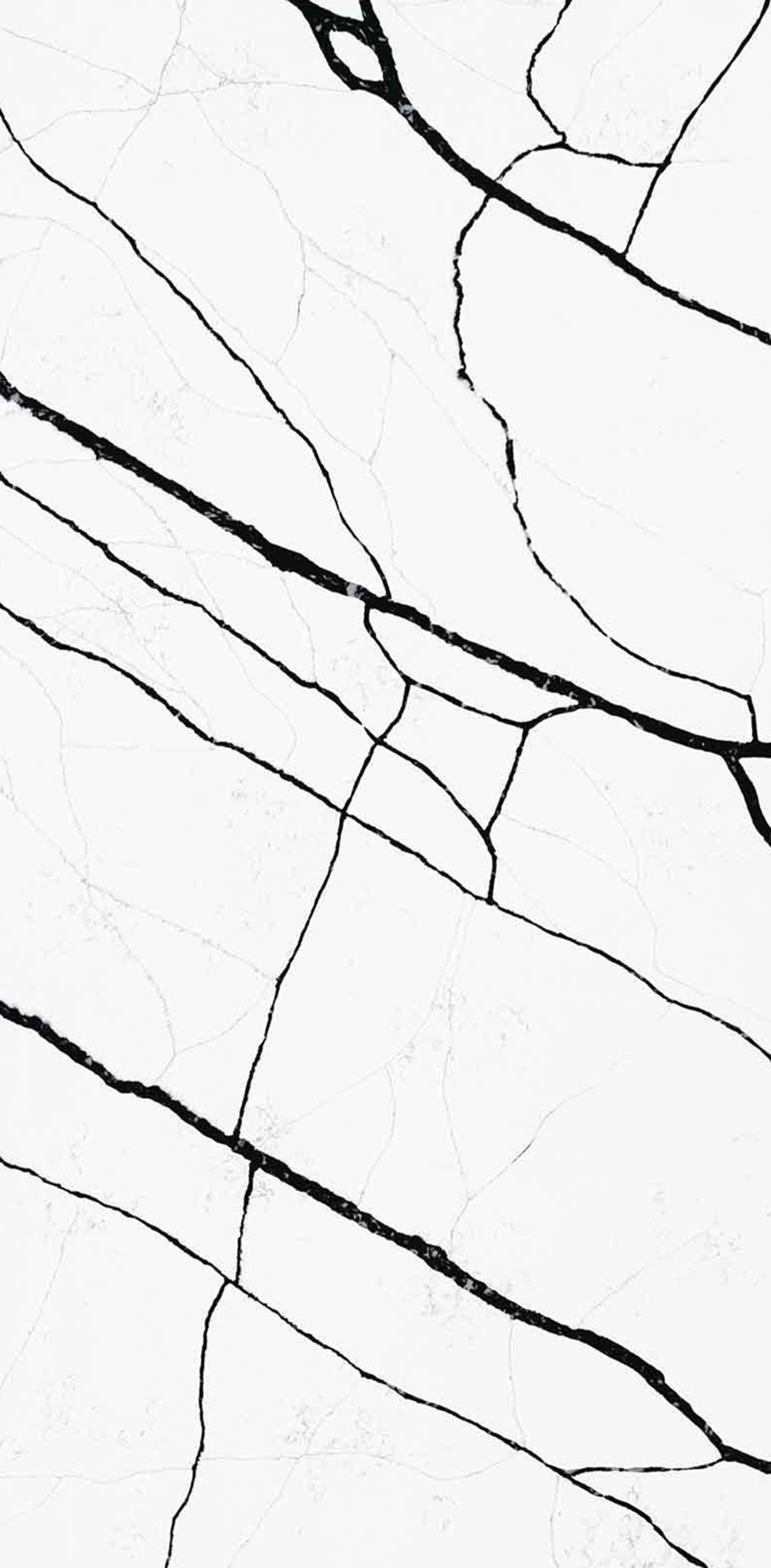 YD9926